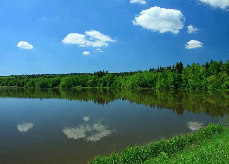 full_309f01_img_0329